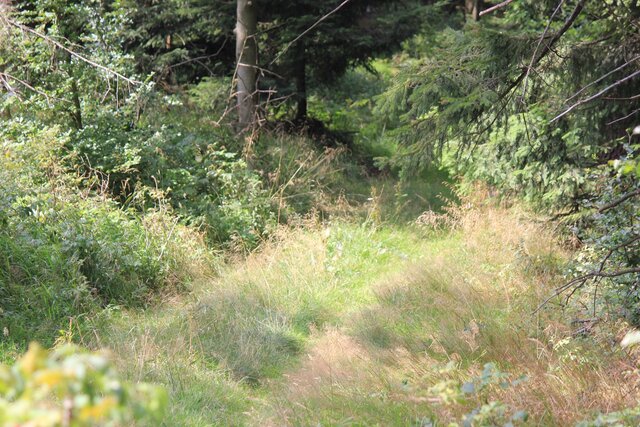 Mladí přispějí více, pokud ví, že to udělá jejich kamarád